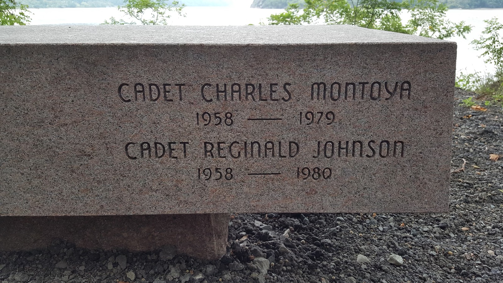 About | Reginald E. Johnson